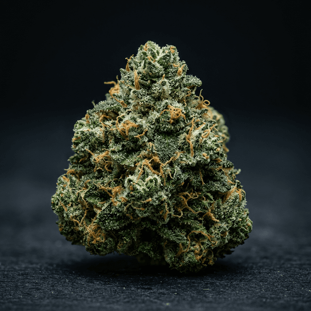 HGM Connoisseur Series (BULLRIDER, GELATO 41, KING LOUIS XIII...)